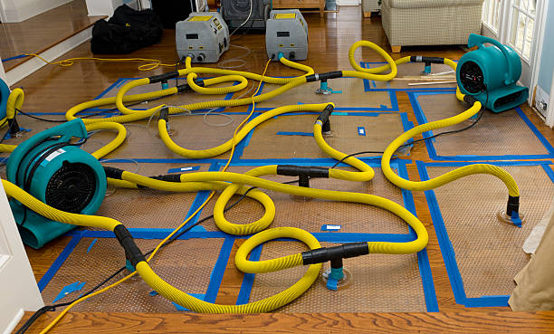 Professional Sewage Cleanup technician working in Terrell, TX